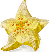 Cristalleria Swarovski in Cristallo 5690901 - 5690901